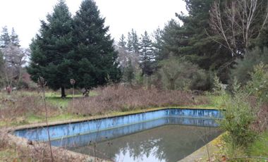 Amplio terreno para inversión, gran ubicación y bosque constituido, Hualqui