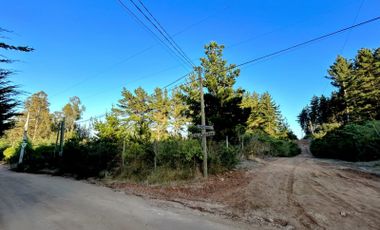 Parcela Esquina de 5295m2, Los Pinares de Algarrobo - Origen Propiedades