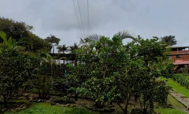 finca en venta en los laureles vereda la rapido  san antonio tequend. Cod V11167