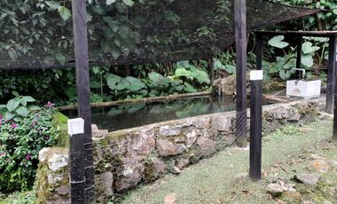 finca en venta en los laureles vereda la rapido  san antonio tequend. Cod V11167