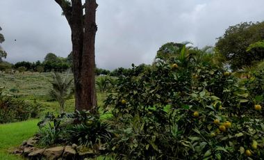 finca en venta en los laureles vereda la rapido  san antonio tequend. Cod V11167