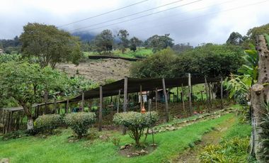 finca en venta en los laureles vereda la rapido  san antonio tequend. Cod V11167
