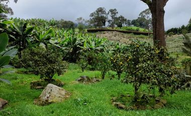 finca en venta en los laureles vereda la rapido  san antonio tequend. Cod V11167