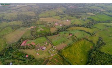 VENTA LOTES DE HACIENDA EN LA CHORRERA