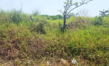 Terreno en Renta, en Riviera Veracruzana, Alvarado, Veracruz. Grt-0028