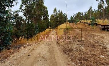 Casa en venta de 1 dorm 1 baño, Topocalma, Puertecillo