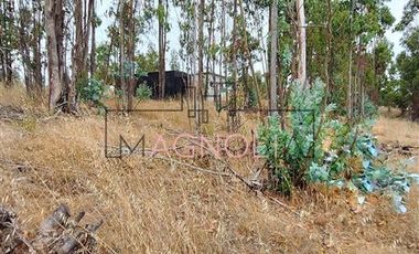 Casa en venta de 1 dorm 1 baño, Topocalma, Puertecillo