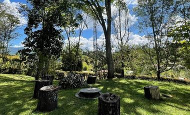 FINCA AMOBLADA EN ARRIENDO UBICADA EN EL CARMEN DE VIBORAL SECTOR LA CUCHARITA