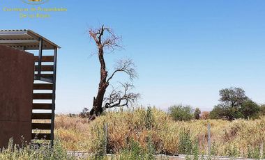 Se vende terreno agrícola ubicado en San Pedro de Atacama.