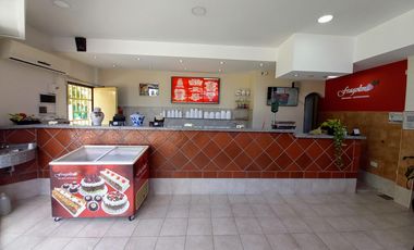 Venta de importante fondo de comercio  Heladería  zona Villa Luzuriaga