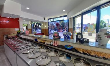 Venta de importante fondo de comercio  Heladería  zona Villa Luzuriaga