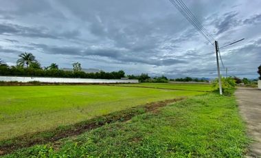 Large plot for sale in San Khampeang, Chiang Mai