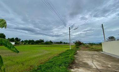 Large plot for sale in San Khampeang, Chiang Mai
