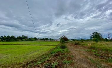 Large plot for sale in San Khampeang, Chiang Mai