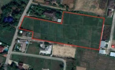 Large plot for sale in San Khampeang, Chiang Mai