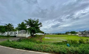Large plot for sale in San Khampeang, Chiang Mai