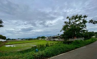 Large plot for sale in San Khampeang, Chiang Mai
