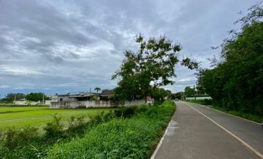 Large plot for sale in San Khampeang, Chiang Mai
