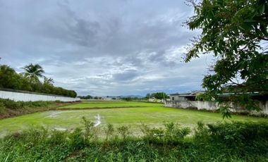 Large plot for sale in San Khampeang, Chiang Mai