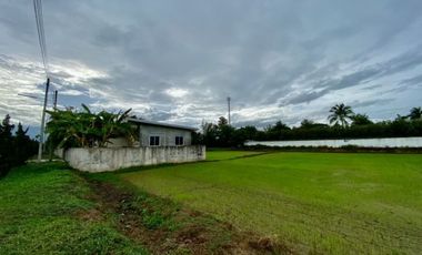 Large plot for sale in San Khampeang, Chiang Mai