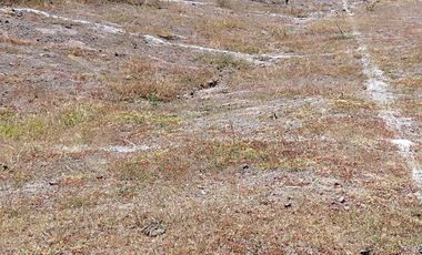 TERRENO EN VENTA PASO DE PERULES PRIVADA
