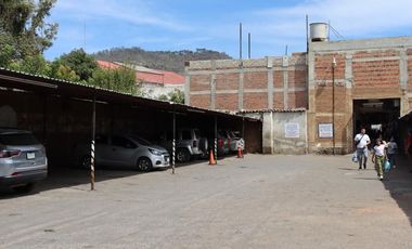 Local comercial en Plaza Centrica de Ciudad Guzm