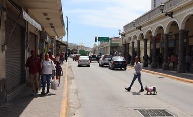 Local comercial en Plaza Centrica de Ciudad Guzm