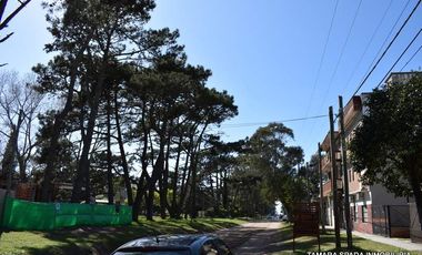 INDEPENDIENTE Y FRENTE AL BOSQUE