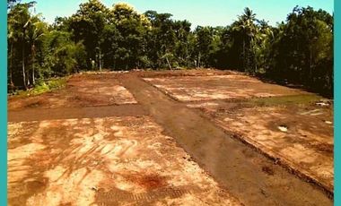Tanah Murah Wates Dekat Bandara YIA Cocok Investasi