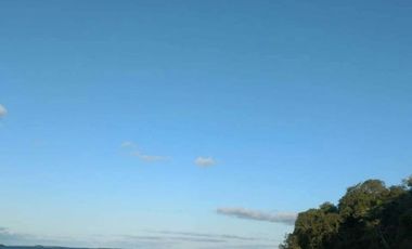 EXCELENTE PREDIO SOBRE EL RIO PARANA EN ITA IBATE CORRIENTES