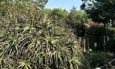 CASA EN CONDOMINIO ATLAMAYA, SAN ANGEL