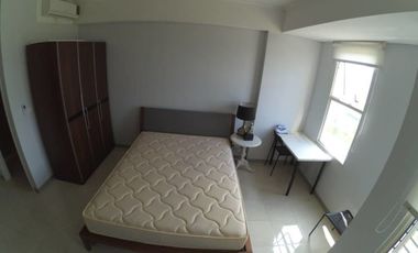 Disewakan Apartemen Silkwood Alam Sutera Tangerang Sebrang Univ Binus