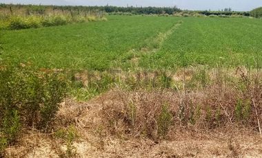 Se Vende Parcela en la comuna de Paine