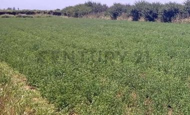 Se Vende Parcela en la comuna de Paine