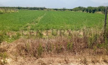 Se Vende Parcela en la comuna de Paine