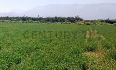 Se Vende Parcela en la comuna de Paine