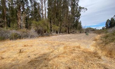 SE VENDE TERRENO CON CASA LAGO RAPEL 8400MTRS