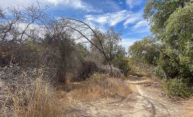 SE VENDE TERRENO CON CASA LAGO RAPEL 8400MTRS