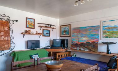 VENTA DEPARTAMENTO 245 VIVIENDAS