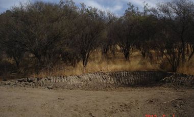 Parcela en Oasis de La Campana – Sector Los Trigales