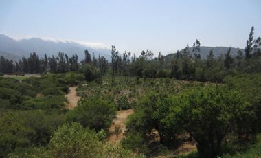 Parcela en Oasis de La Campana – Sector Los Trigales