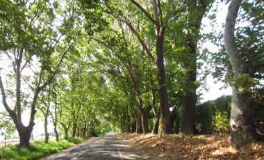 Parcela en Oasis de La Campana – Sector Los Trigales