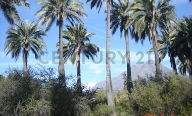 Parcela en Oasis de La Campana – Sector Los Trigales