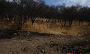 Parcela en Oasis de La Campana – Sector Los Trigales