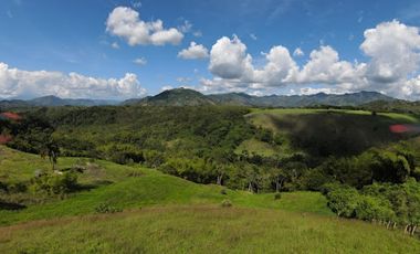 VENTA de LOTES en PEREIRA