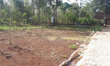 RUMAH MURAH SHM HARGA DIBAWAH 200 JUTA DI GUNUNGKIDUL