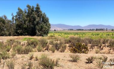 Venta Parcelas 5 Y 6 Cercanas A Chorrillos De Pan De Azucar