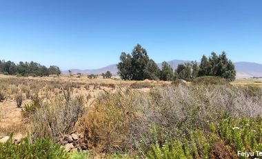 Venta Parcelas 5 Y 6 Cercanas A Chorrillos De Pan De Azucar