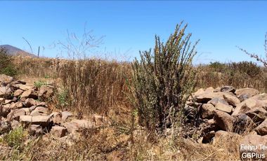 Venta Parcelas 5 Y 6 Cercanas A Chorrillos De Pan De Azucar