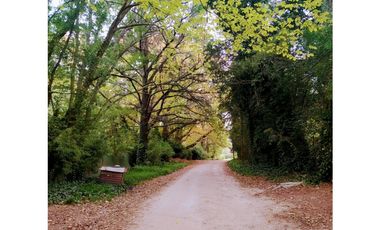 Reserva Forestal El Tejado - Lote de 535 m2  u$s 34.000